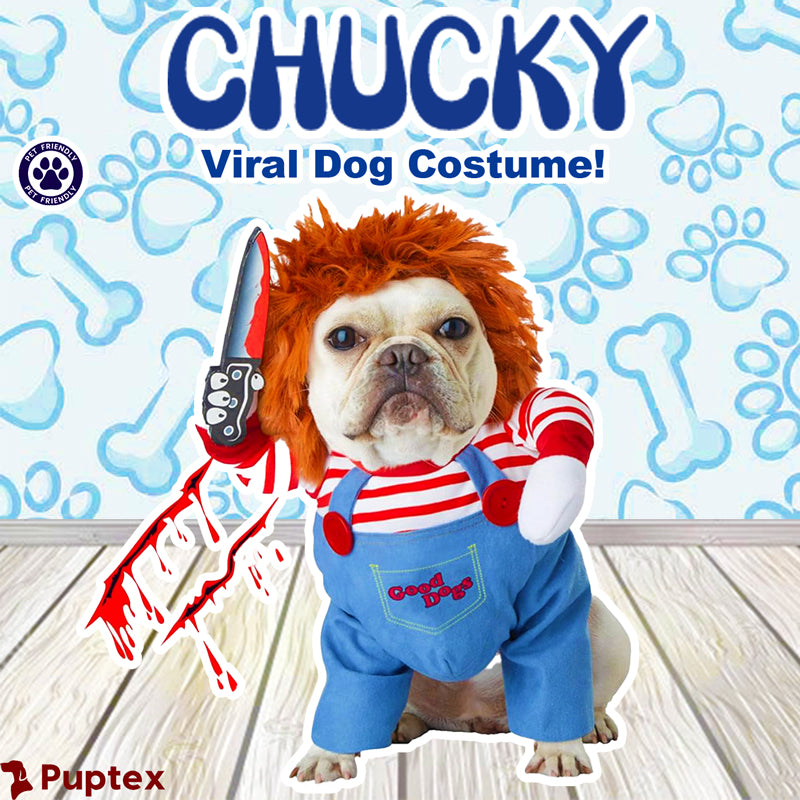 Chucky the dog hotsell