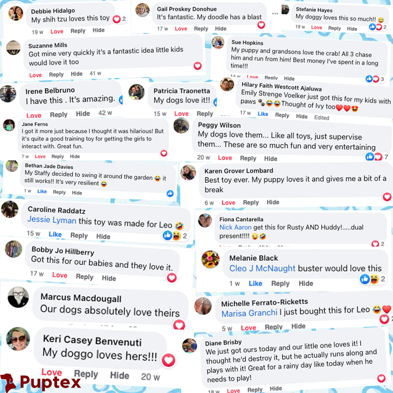 Paw Protectors™ - Paw Pads