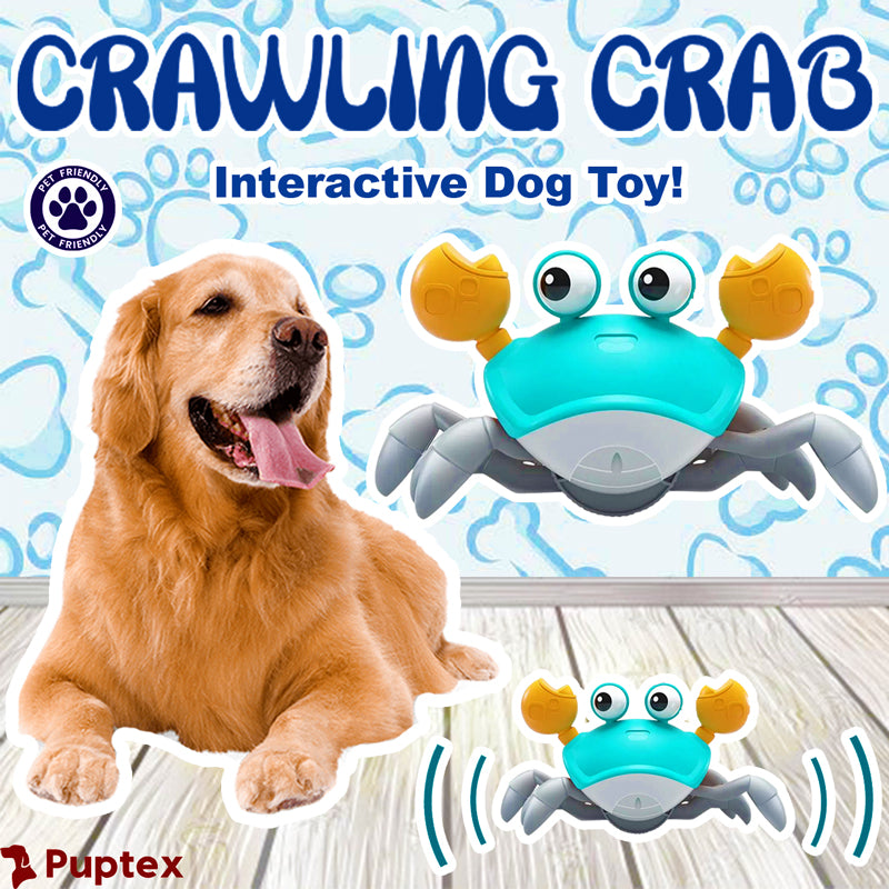 Crawling Crab Dog Toy, Sensing Escape Dog Cat Toy with Music& Lights,  Obstacle Avoidance Interactive Fun Toys for Puppy/Small/Medium Dogs (Green)