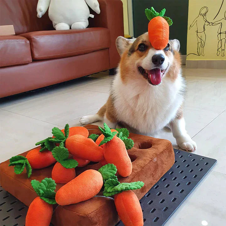 Carrot Patch ™ - Interactive Dog Toy