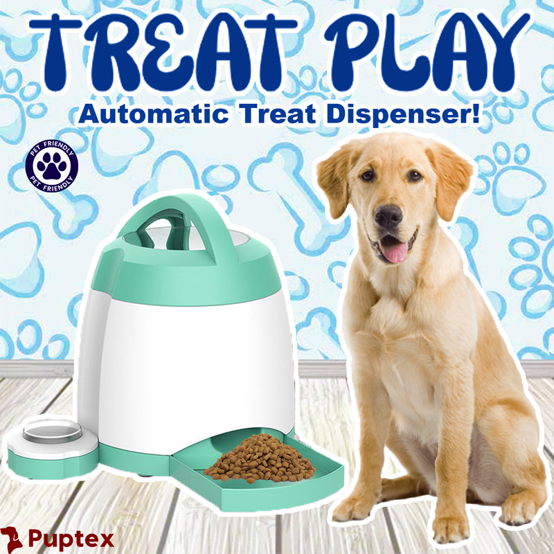 Automatic treat outlet dispenser