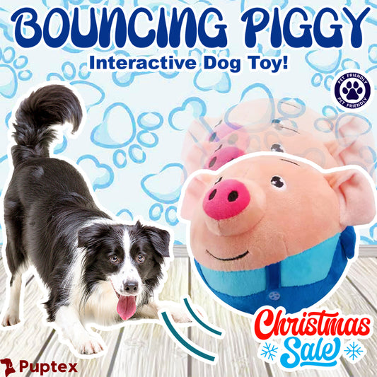 Bouncing Piggy™ - Interactive Dog Toy