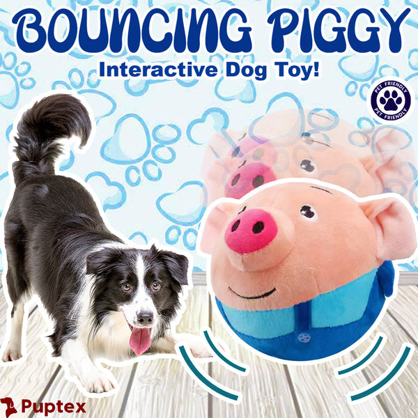 Bouncing-Piggy_49ee8478-62f4-