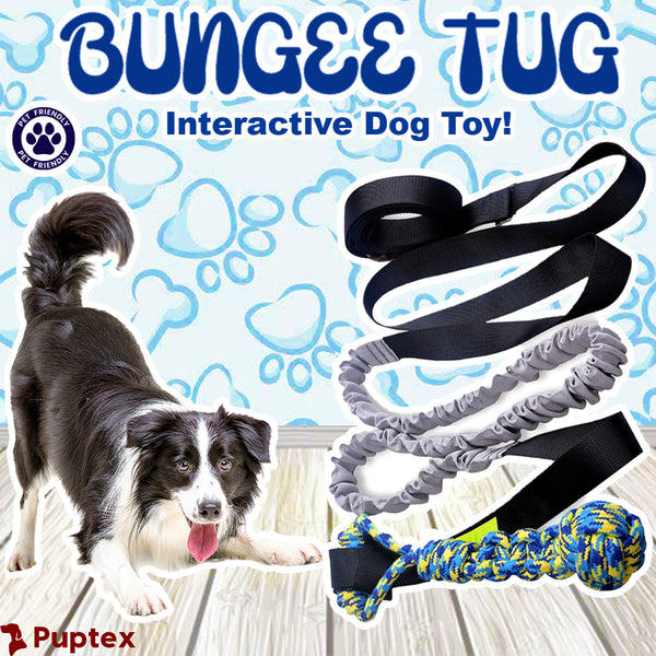 Bungee Tug™ - Interactive Dog Toy – Puptex
