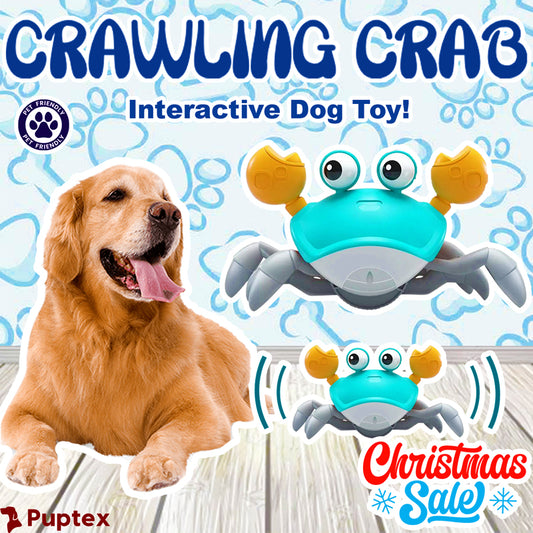 Crawling Crab™ - Interactive Dog Toy