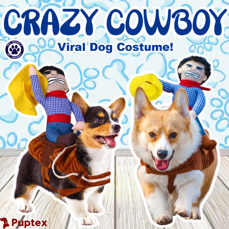 Crazy Cowboy™ - Dog Costume