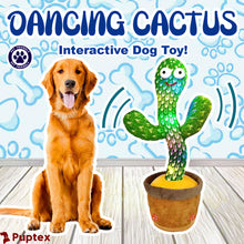 Load image into Gallery viewer, Dancing Cactus™ - Interactive Dog Toy
