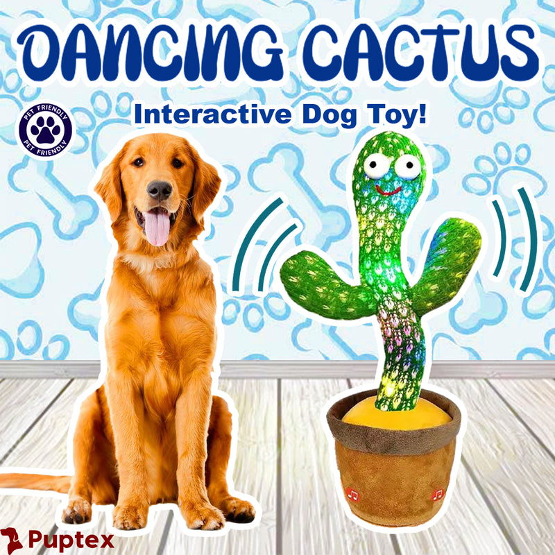 Dancing Cactus™ - Interactive Dog Toy