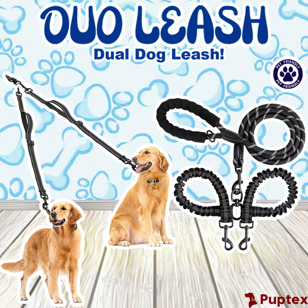 Dual pet leash hotsell