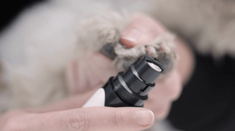 Peticure - Silent Pet Nail Grinder – Puptex