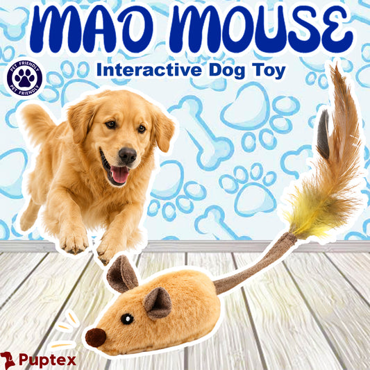 Mad Mouse™ - Interactive Dog Toy