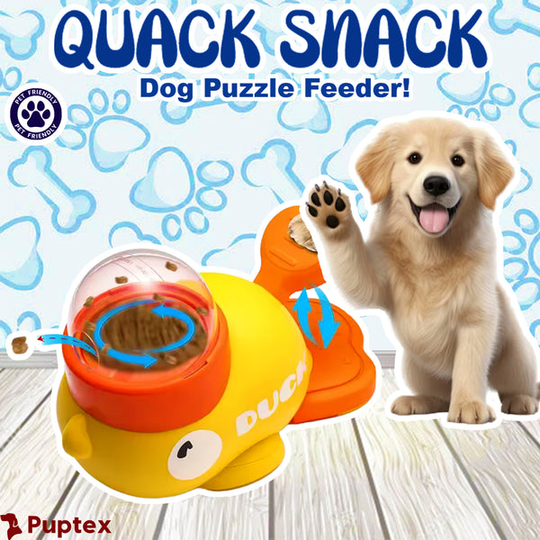 ドッグフード kiduki Mini Naturals Turkey & Pumpkin Dog Training Treats | Zuke's