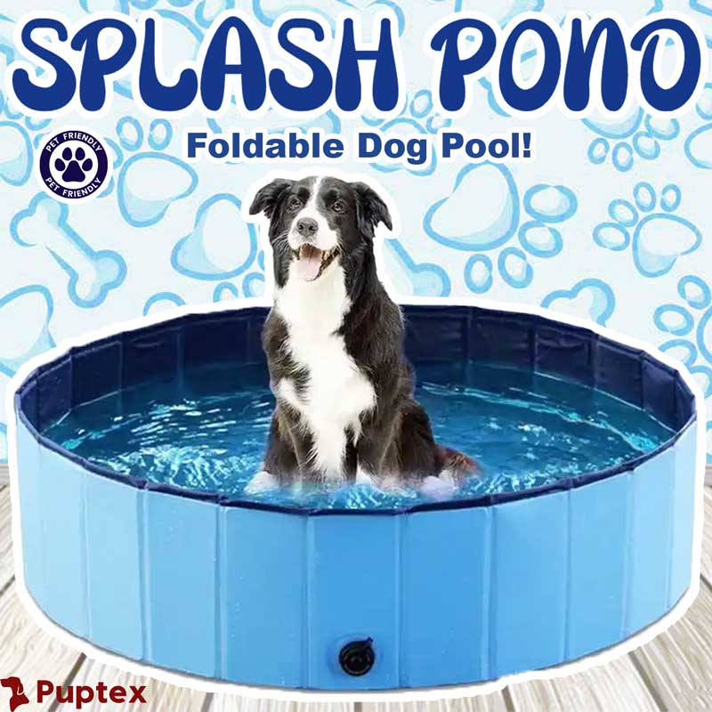 Splash Pond™  - Foldable Dog Pool