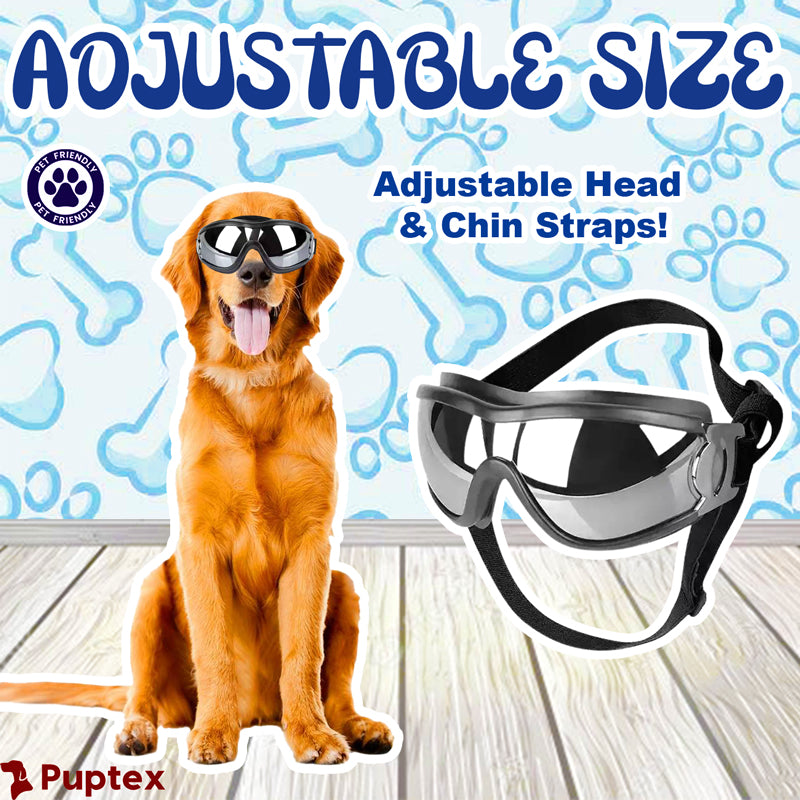 Protective goggles for dogs online