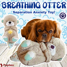 Load image into Gallery viewer, Breathing Otter™ - Separation Anxiety Toy
