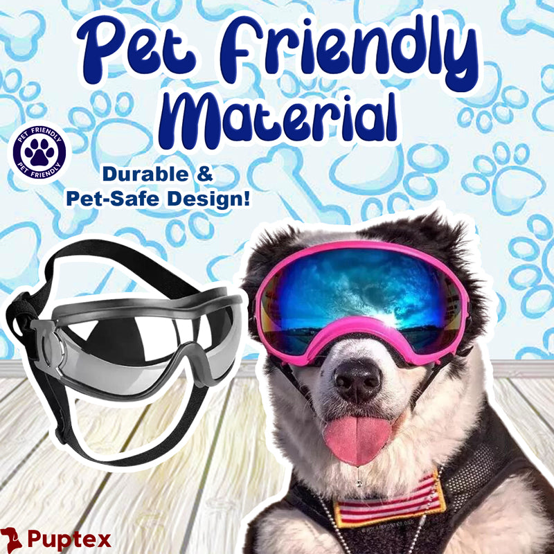 Best dog sunglasses online