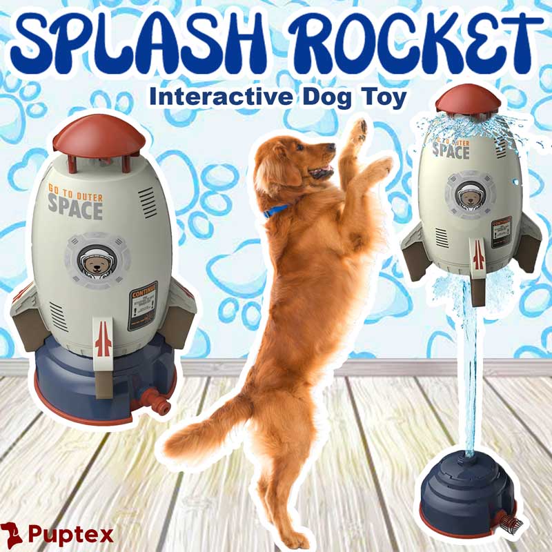 Splash Rocket™  - Interactive Dog Toy