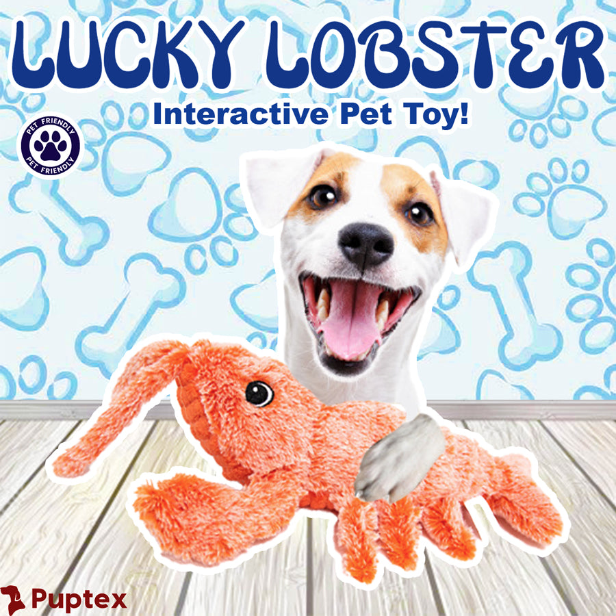 Lucky Lobster™ - Interactive Dog Toy