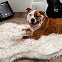 Load image into Gallery viewer, Mr. Lush ™ - Faux Fur Orthopedic Bed
