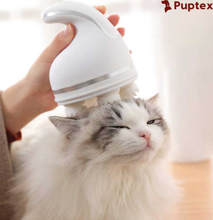 Kimiyo™ - Pet Massager