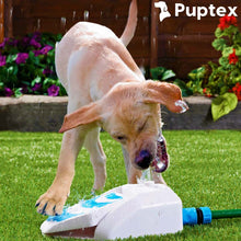 Load image into Gallery viewer, Pura Fountain ™ - Automatic Dog Water Fountain
