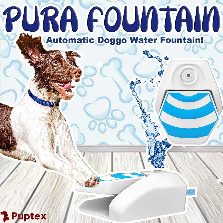 Pura Fountain ™ - Automatic Dog Water Fountain